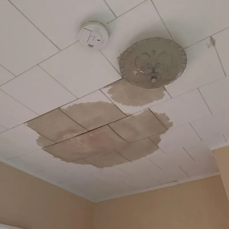Ceiling Water Damage Repair in Powhatan County, VA