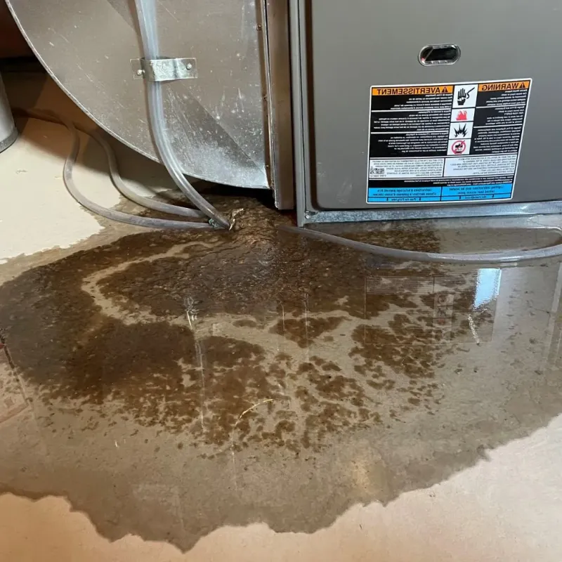 Pipe Burst and Leak Restoration in Powhatan County, VA