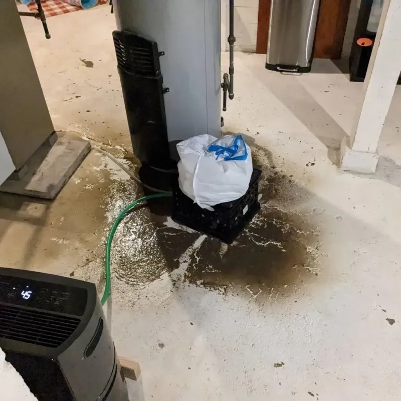 Sewage Backup Cleanup Service in Powhatan County, VA